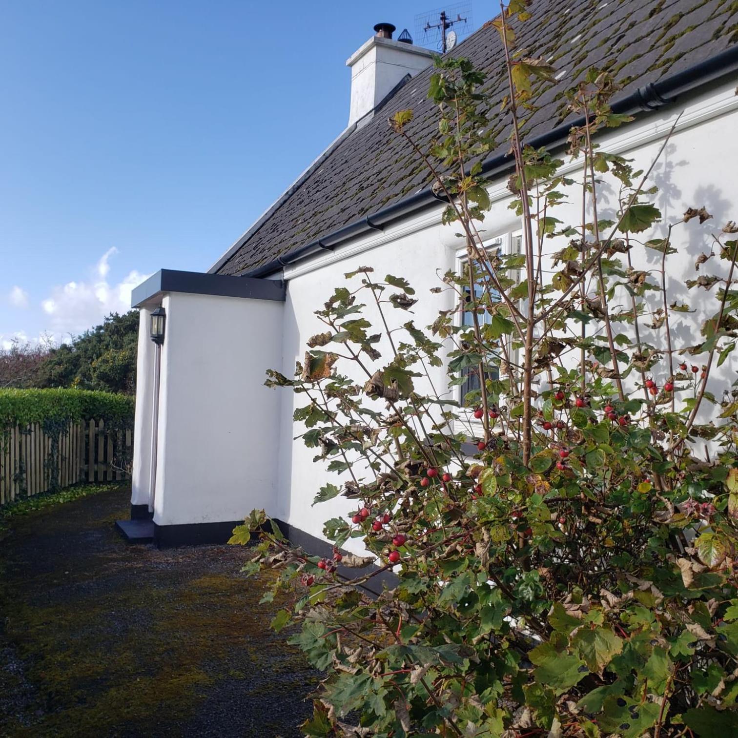 Louisburgh Cottages 外观 照片